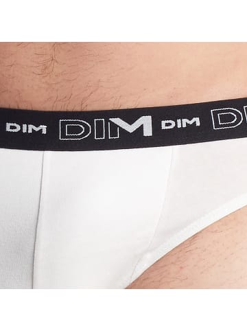 DIM Slip in Multicolored