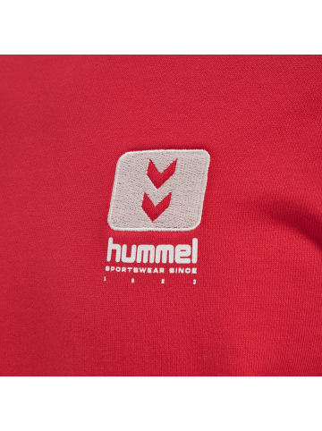 Hummel Pullover "Lgc Graham Sweatshirt" in Rot
