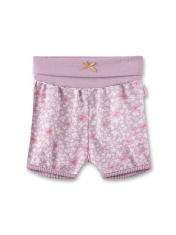 Sanetta Shorts in Lila