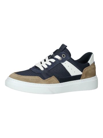 Bullboxer Sneaker in Mehrfarbig