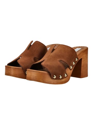 Steve Madden Pantoletten in Chestnut