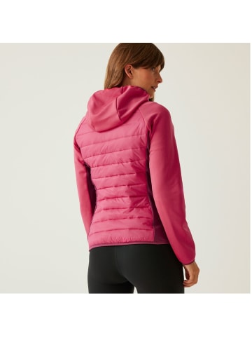 Regatta Softshelljacke Andreson VIII Hybrid in Beere