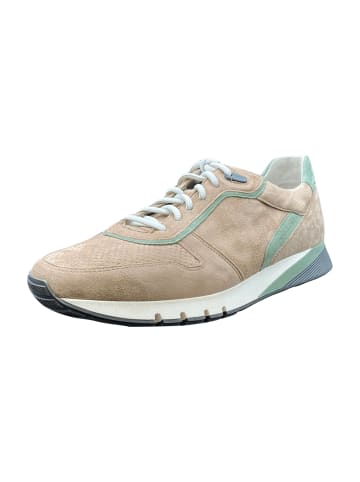 Gabor Sportliche Schnürschuhe in Beige