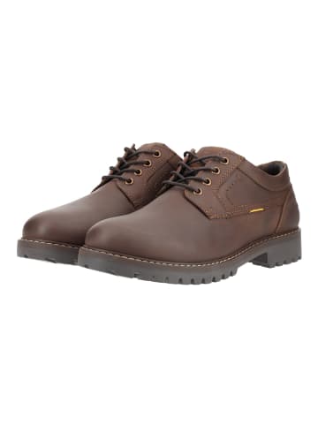 Camel Active Halbschuhe in Cafe