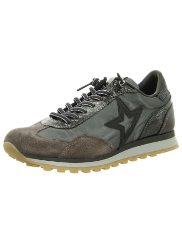 Cetti Sneaker Low in grau