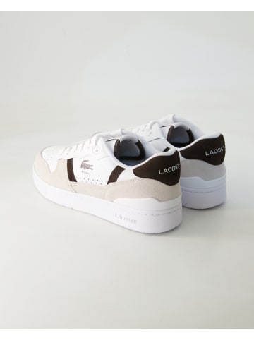 Lacoste Sneaker low in Beige