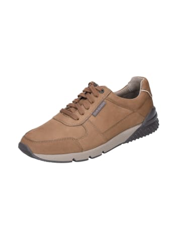 Gabor Sneaker in braun