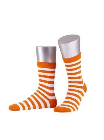 JD J. Dirks Socken CL12S in orange/weiß (3426)