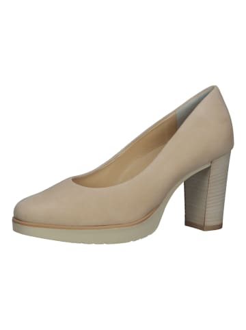 Paul Green Pumps in Beige