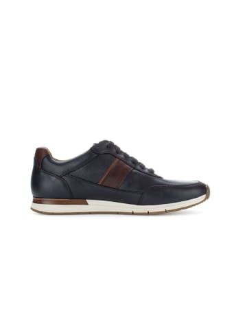 Pius Gabor Sneaker low in blau