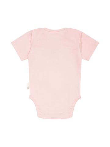 Steiff Body in Rosa