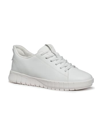 Geox Sportliche Schnürschuhe in Weiß