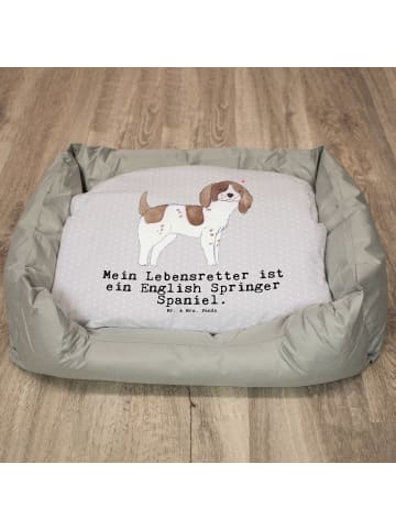 Mr. & Mrs. Panda Hundesofa English Springer Spaniel Lebensretter... in Grau Pastell
