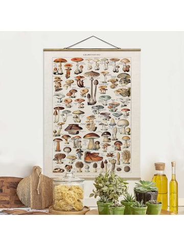 WALLART Stoffbild mit Posterleisten - Vintage Lehrtafel Pilze in Braun