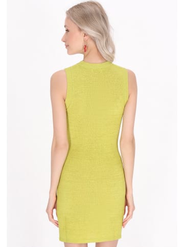 IZIA Women Dress in green