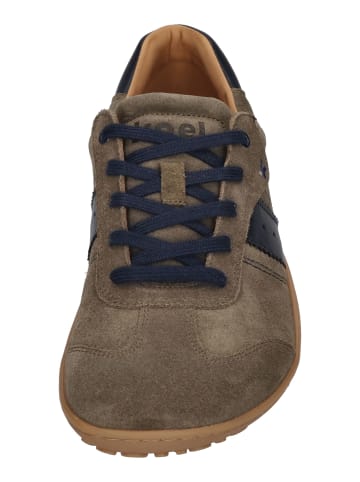 KOEL Sneaker Low ILA SUEDE 3.0 in grün