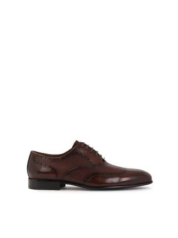Kazar Schnürschuhe in Braun