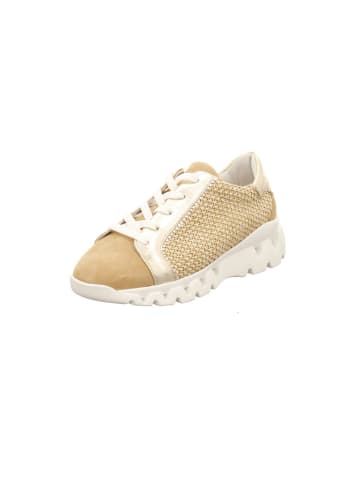 Donna Carolina Sneaker in beige