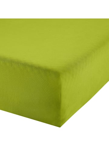 Erwin Müller Single-Jersey Bio Boxspring-Spannbettlaken Bayreuth in apfelgrün