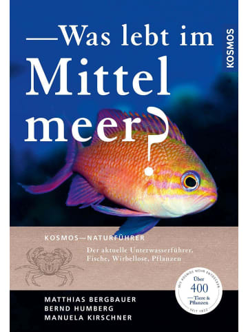 Franckh-Kosmos Was lebt im Mittelmeer? | Der aktuelle Unterwasserführer: Fische, Wirbellose,...