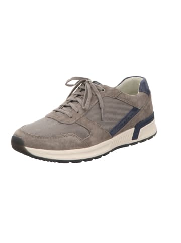 Pius Gabor Sneaker in grau