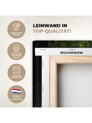 MuchoWow Leinwand bilder Dschungel Wasserfall (BxH)
