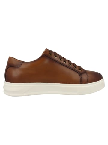 Clarks Sneaker low Goswell Tie in hellbraun