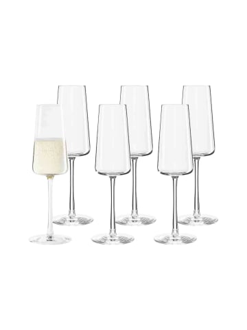 Stölzle 6er Set Champagnergläser Power in 240 ml in transparent