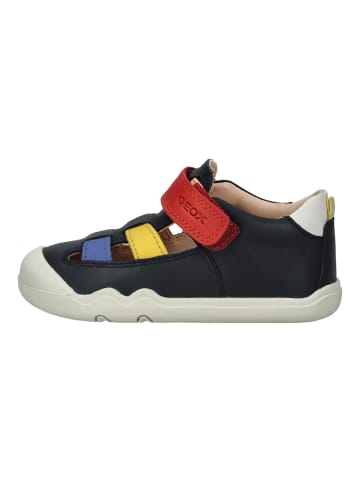 Geox Sneaker in Navy/Rot