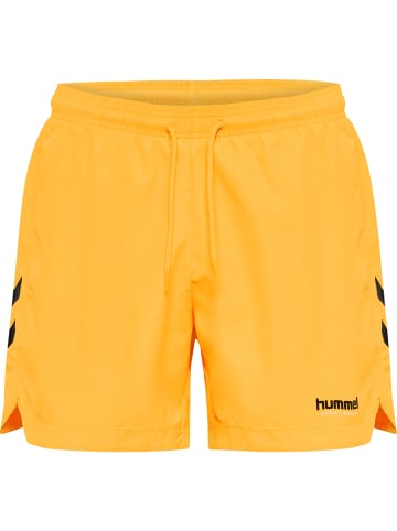 Hummel Badeshorts Hmlned Swim Shorts in ORANGE POP