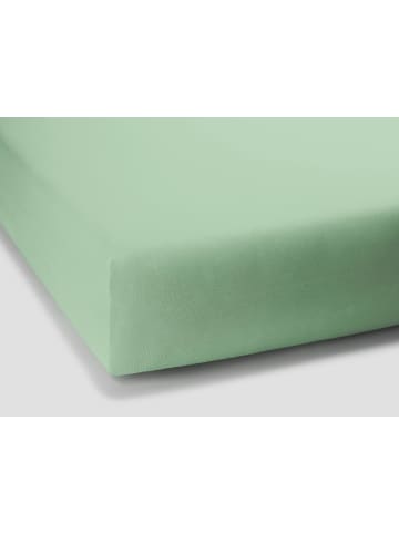 Formesse Spannbettlaken Bella Donna Jersey in Mint