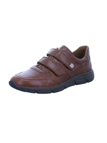 WALDLÄUFER Klettschuhe Haslo in cognac