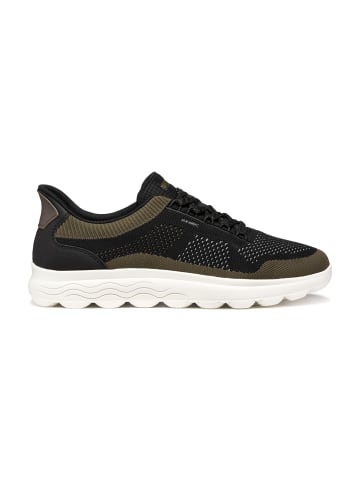 Geox Sportliche Schnürschuhe in Schwarz