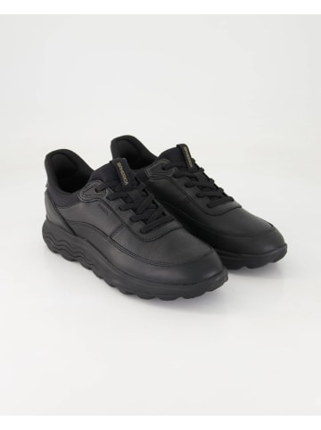 Geox Sneaker low in Schwarz