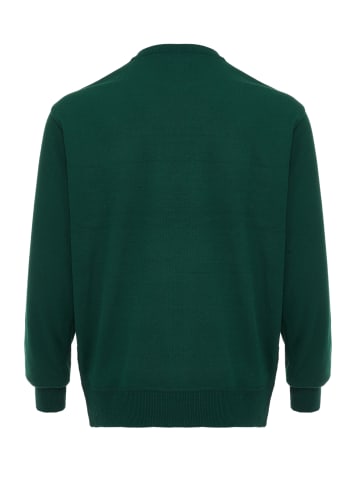 ALEKO Herren Pullover in Grün
