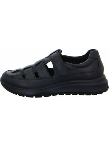 ara Halbschuhe für Herren in schwarz