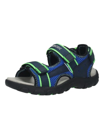 Geox Sandalen in Blau/Grün