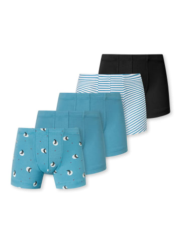 Schiesser Retro Boxer 95/5 in blau, weiss, schwarz