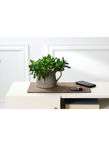 Ritzenhoff & Breker 6er Set Platzmatten Velora 43 x 30 cm in Anthrazit