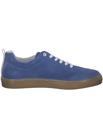 palado Sneakers Low in blue cobalto/white