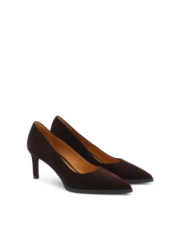 Kazar Pumps in Braun