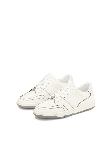 Kazar Studio Sneaker Low LEE in Beige