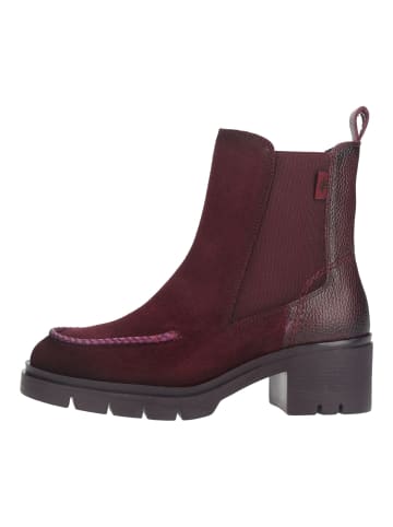 Hispanitas Stiefelette CHICAGO-6 CHICAGO-6 in Bordeaux