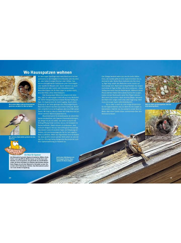 Natur und Tier-Verlag Entdecke die Spatzen
