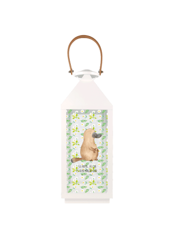 Mr. & Mrs. Panda Laterne Schnabeltier Mut mit Spruch in Transparent