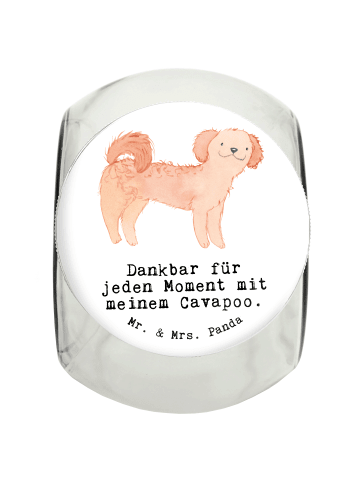 Mr. & Mrs. Panda Leckerli Glas Cavapoo Moment mit Spruch in Weiß