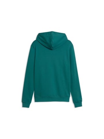Puma Hoodie "Ess 2 Color Small NO. 1 Logo Hoodie TR" in Grün