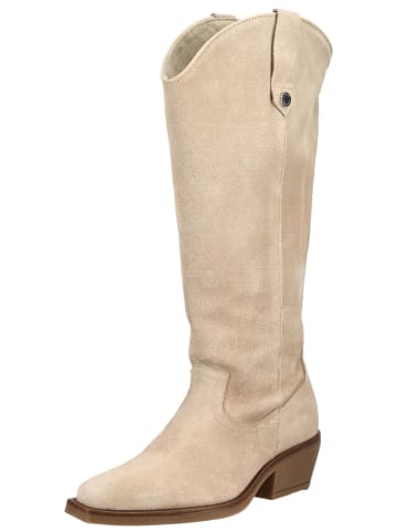 Steve Madden Stiefel WIRAYA in Beige
