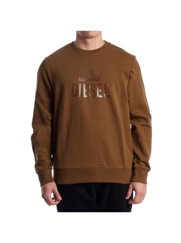 Diesel Sweatshirt in Brown
