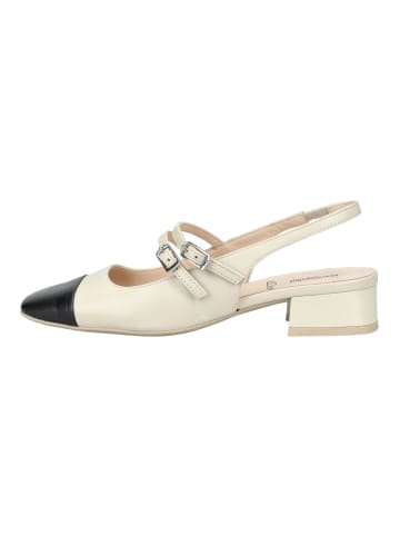 Nero Giardini Pumps in Schwarz/Beige